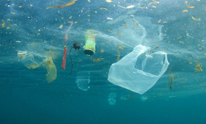 Mavi okyanus ortamında deniz yosunu ve diğer atıkların arasında yüzen torbalar ve şişeler de dahil olmak üzere çeşitli plastik artıkları gösteren su altı görünümü—nedir? Bu rahatsız edici sahne, su kirliliğinin deniz yaşamı üzerindeki etkisini vurgular.