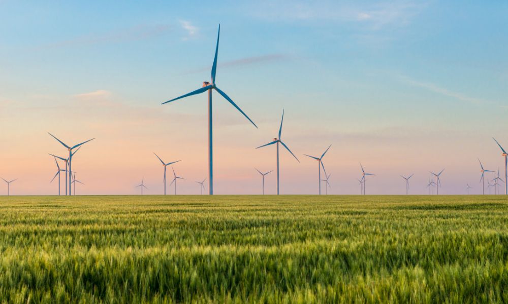 Rüzgar türbinleri, gün batımında bir tarlada, yeşil enerji üretimi için çalışıyor.